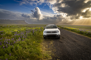 White suv driving on a gravel road in a field of flowers with dr