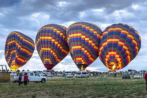 hot air balloons are being prepared for the morning flight