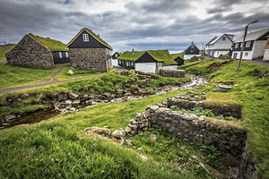 house with green roof 