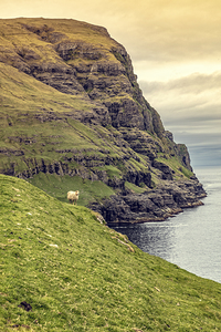 cliff view in faroe 