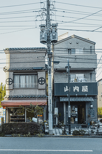 traditional buildings in tokyo