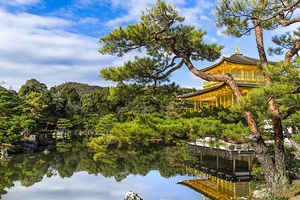 golden kinkakuji temple with reflections in the pond 