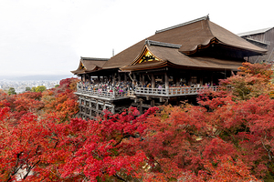 People crowd the kiyomizu dera temple