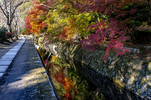 Philosophers Walk during autumn in Kyoto. 