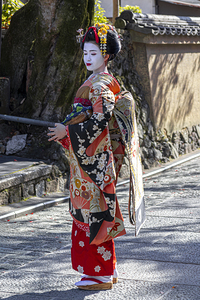 Maiko walks the streets of Kyoto 