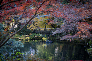 detail of Naritasan Park in Narita
