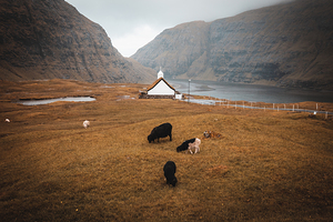 Church in the village of Saksun in the Faroe islands.