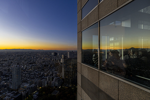 people observe the Tokyo cityscape from the government building