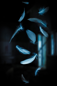 feathers fall background