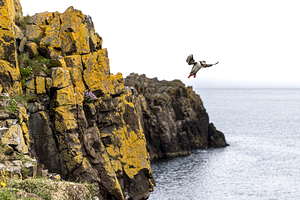 Atlantic puffin flying over ocean with cliffs in background