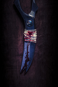 antique scissors bound in blood 