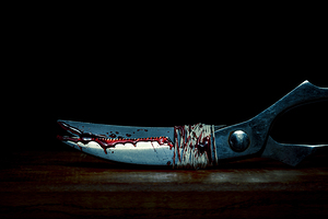bound and bloodied chopstick