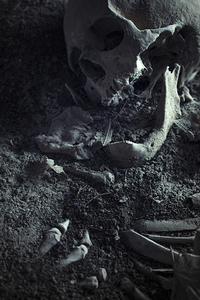 skull and human bones half-buried in the earth background