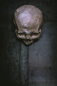 human skull on metal 