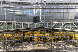 detail of the Tokyo International Forum window