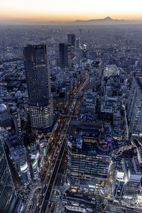 aerial view of tokyo city at sunset visible Mount Fuji