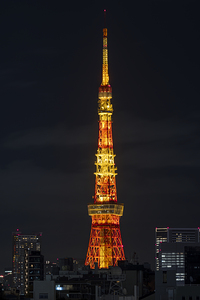 night view of the  Tokyo tower