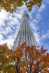 Tokyo Sky Tree 