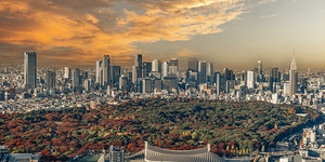 Autumn sunset over Tokyo skyline