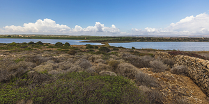 the Vendicari reserve 
