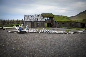 Children playing on whale skeleton near traditional viking settl