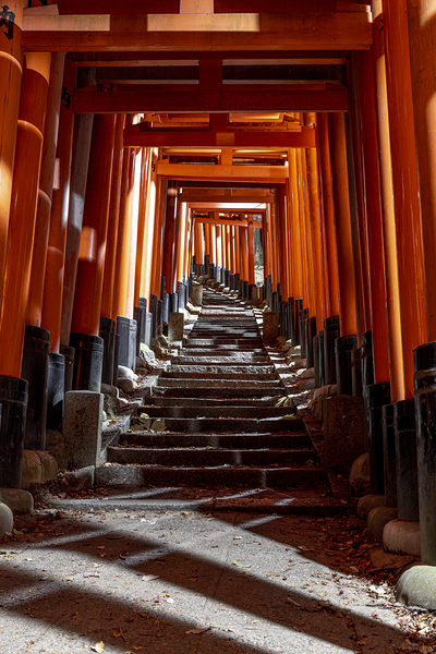 fushimi inari shrine in kyoto japan Print
