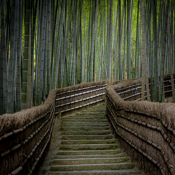 staircase in the bamboo forest of arashiyama  Print