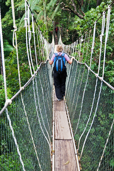 Canopy Walkway Borneo by Gualtiero Boffi