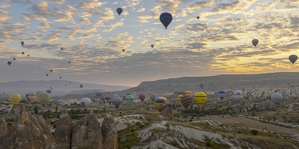 hot air balloon flies in the sky at dawn