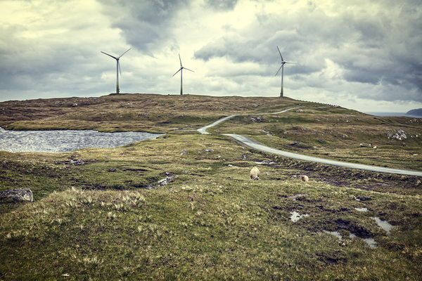 farm wind in faroe  Print