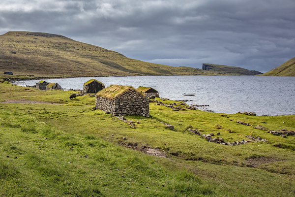 fisherman houses  in faroe