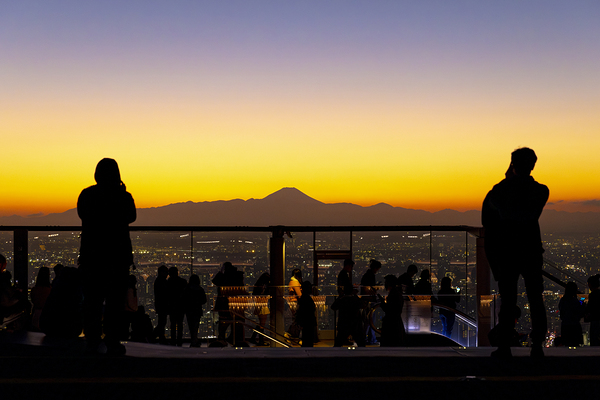 Sunset silhouettes at city viewpoint
