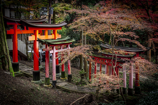 japanese shrine path in autumn