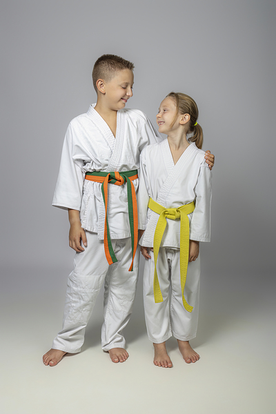 friendship in the martial arts. by Gualtiero Boffi