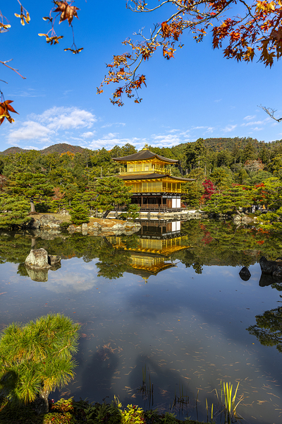 background of Kinkakuji temple  Print