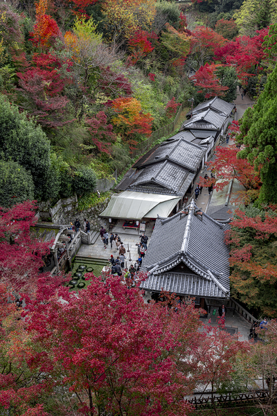 Top view of the kiyomizu dera temple spring Print