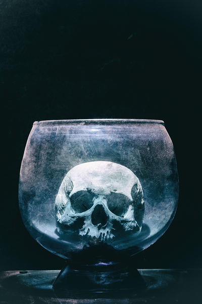 human skull in glass ampoule