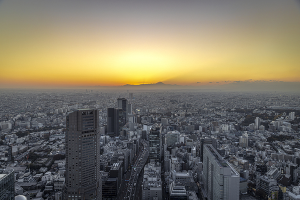 Tokyo city view at sunset Print