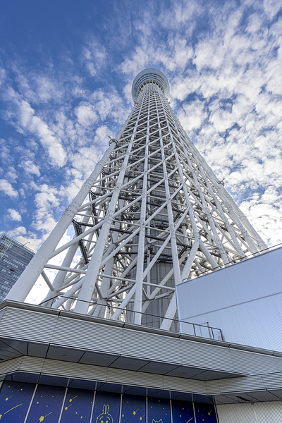 Tokyo Sky Tree bottom view  Print