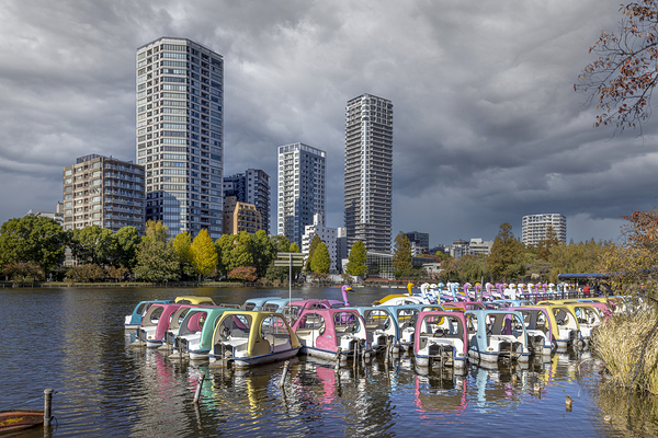 lake in Ueno Park in Tokyo Print