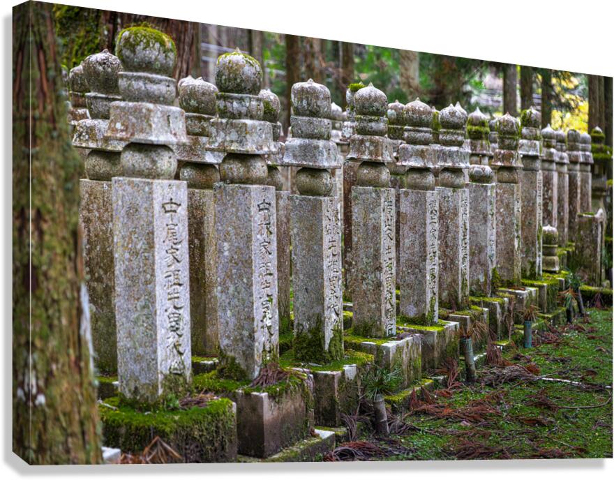stone memorial stones inside the Okunoin background Canvas Print