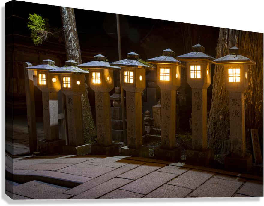 stone lanterns inside the Okunoin  cemetery Canvas Print