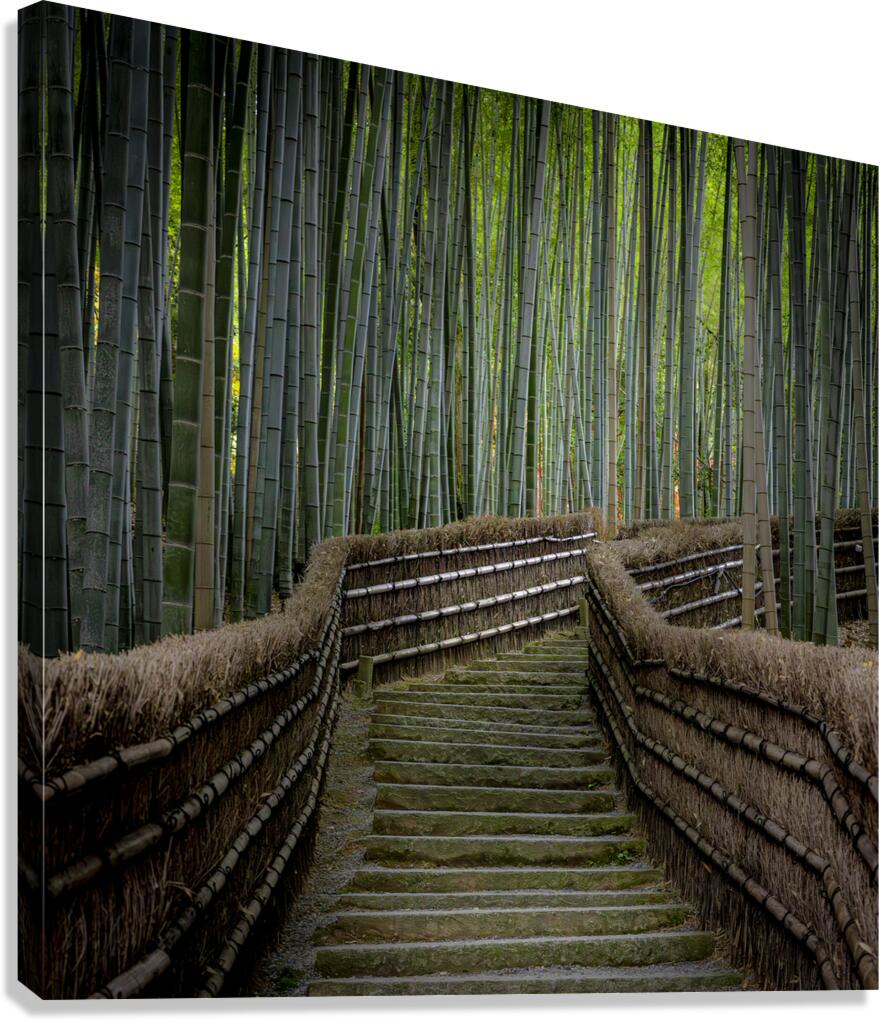 staircase in the bamboo forest of arashiyama  Canvas Print