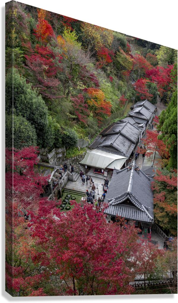 Top view of the kiyomizu dera temple spring Canvas Print