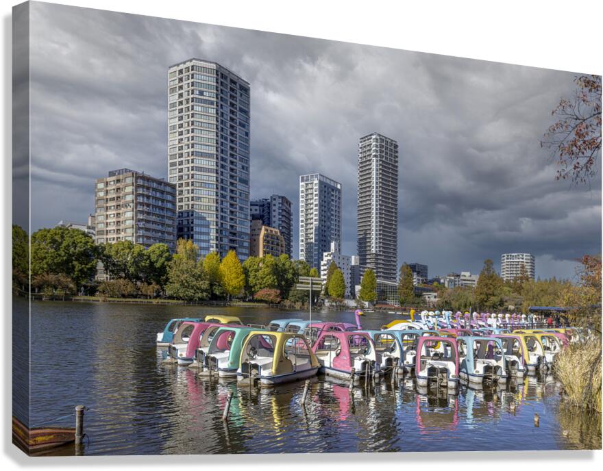lake in Ueno Park in Tokyo Canvas Print