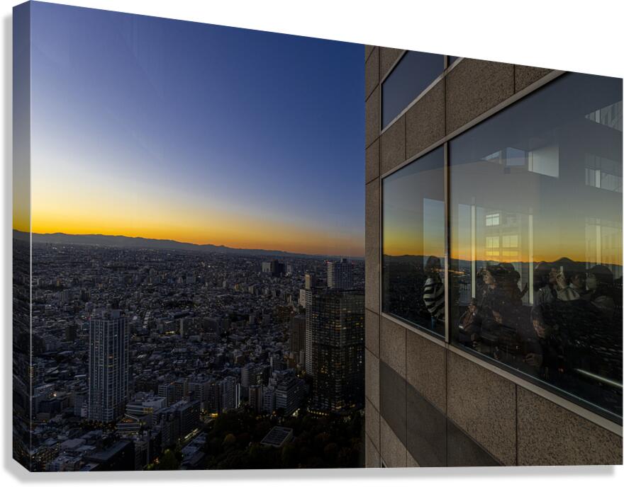 people observe the Tokyo cityscape from the government building Canvas Print