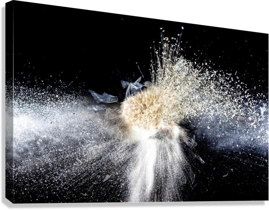 real explosion background Canvas Print