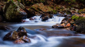 Virginia Creeper Trail Creek