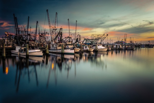 Marina Boats sunrise by Mark Daniels