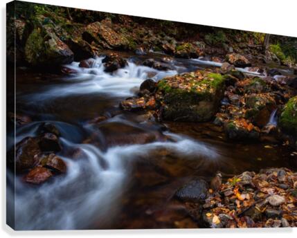 VCT II Canvas Print